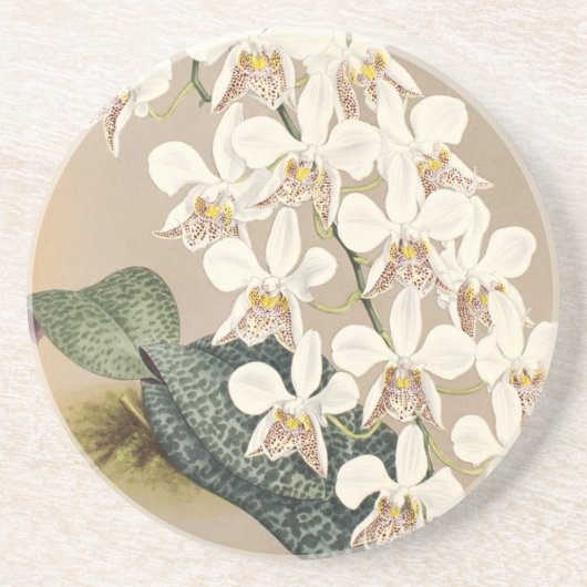 Dessous De Verre En Grès Orchidées (Devant)