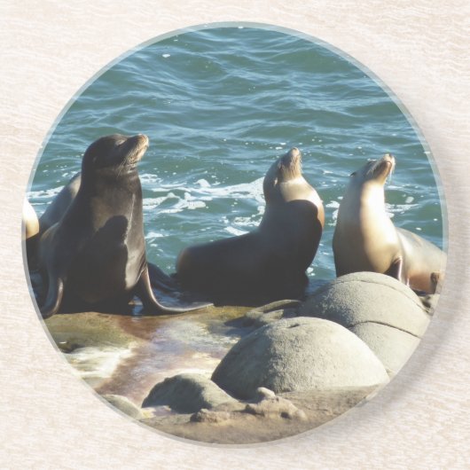 Dessous De Verre En Grès Otaries de San Diego (Devant)