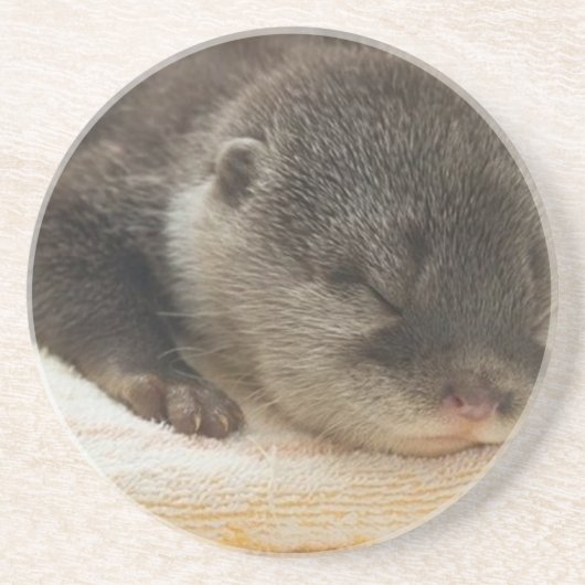 Dessous De Verre En Grès Otter endormi (Devant)
