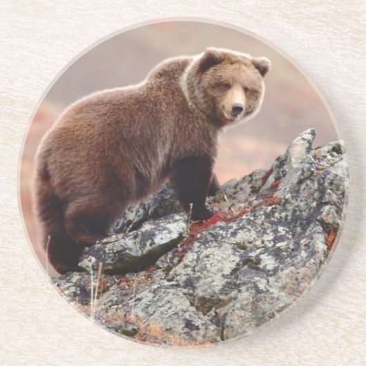 Dessous De Verre En Grès Ours Brown de Denali (Devant)