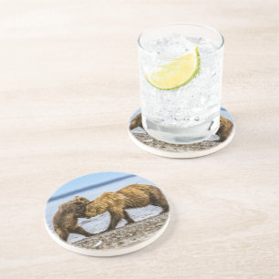 Dessous De Verre En Grès Ours brun côtier