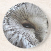 DESSOUS DE VERRE EN GRÈS OWLS (Devant)