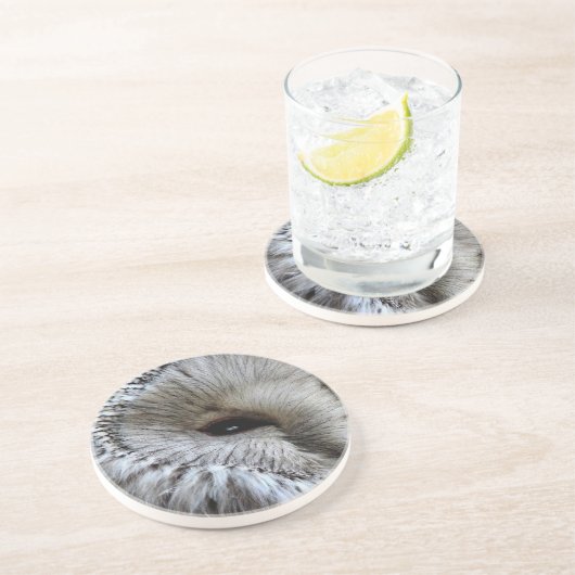 DESSOUS DE VERRE EN GRÈS OWLS (Côté)