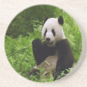 Dessous De Verre En Grès Panda