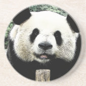 Dessous De Verre En Grès Panda (Devant)