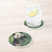 Dessous De Verre En Grès Panda géant dans l'herbe, vallée de Wolong, Sichua (Côté)