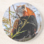 Dessous De Verre En Grès Panda rouge (Devant)