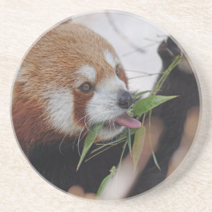 Dessous De Verre En Grès panda rouge impression animale mignon