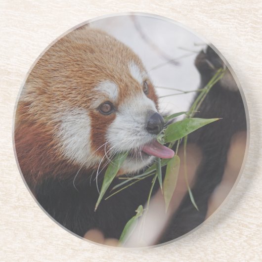 Dessous De Verre En Grès panda rouge impression animale mignon (Devant)