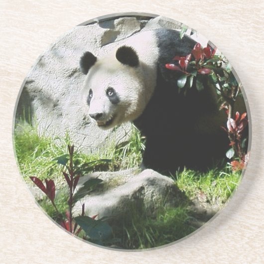 Dessous De Verre En Grès Panda Smile (Devant)
