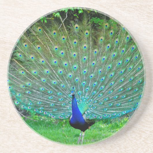 Dessous De Verre En Grès Paon léger (Devant)