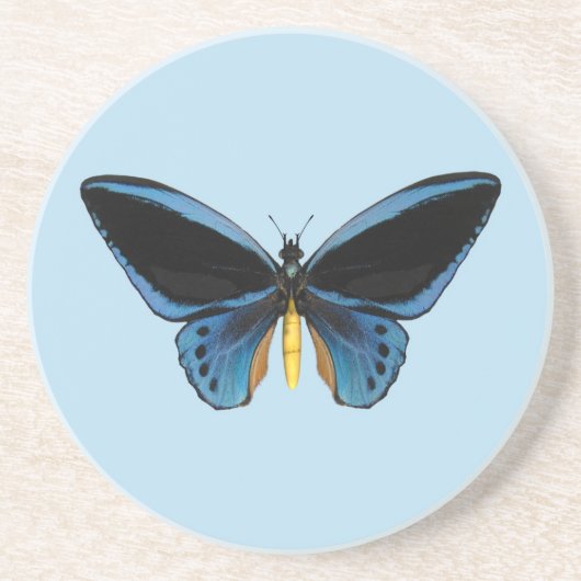 Dessous De Verre En Grès Papillon (Devant)