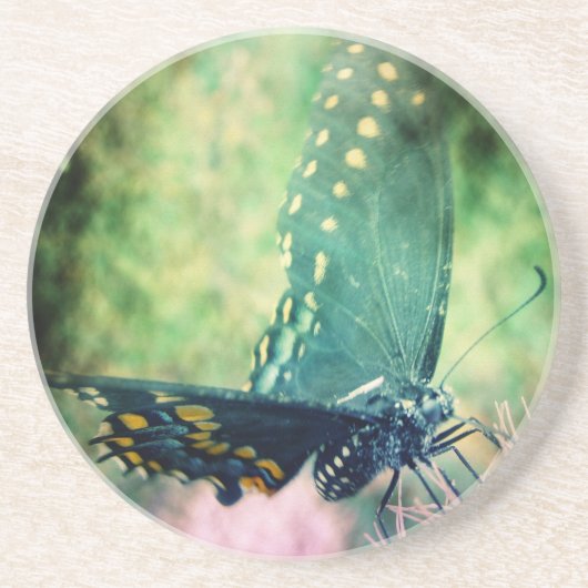 Dessous De Verre En Grès Papillon (Devant)