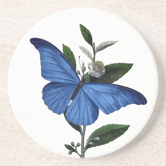 Dessous De Verre En Grès Papillon bleu (Devant)