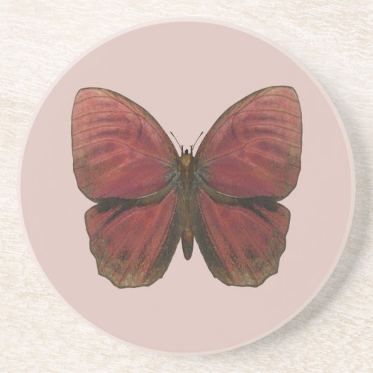 Dessous De Verre En Grès Papillon Coq Rouge (Devant)