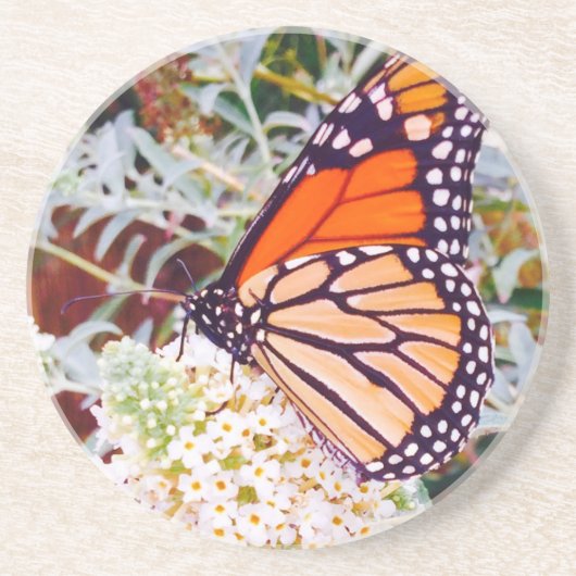 Dessous De Verre En Grès Papillon monarque (Devant)