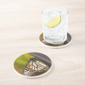 Dessous De Verre En Grès Papillon Monarque sur Agave (Côté)