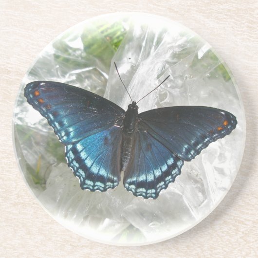 Dessous De Verre En Grès Papillon pourpre tacheté rouge (Devant)