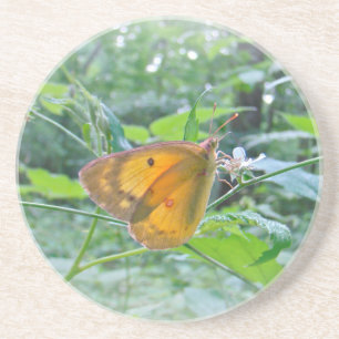 Dessous De Verre En Grès Papillon Sulpher