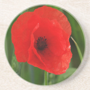 Dessous De Verre En Grès Pavot