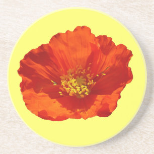 Dessous De Verre En Grès Pavot rouge de l'Alaska Fleur colorée