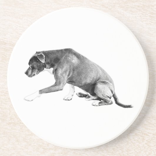 Dessous De Verre En Grès Paw Forward (Paw Forward) : Mélange Pitbulle Mini- (Devant)