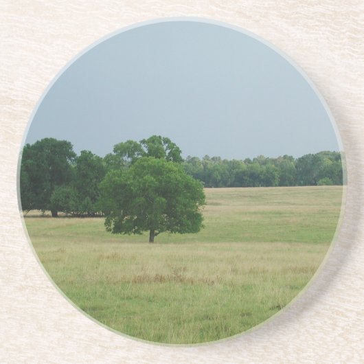 Dessous De Verre En Grès Paysage de l'Alabama (Devant)