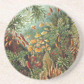 Dessous De Verre En Grès Peinture de champignon d'herbe Haeckel Moss (Devant)
