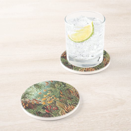 Dessous De Verre En Grès Peinture de champignon d'herbe Haeckel Moss (Côté)