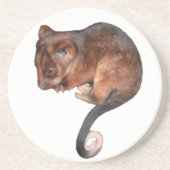 Dessous De Verre En Grès Petit Bébé Singtail Possum (Devant)