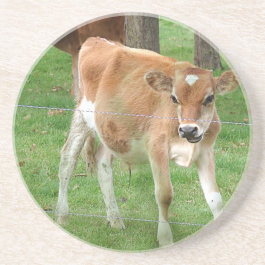 Dessous De Verre En Grès Petit Calf (Devant)