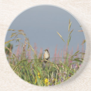Dessous De Verre En Grès Petit colibri gras