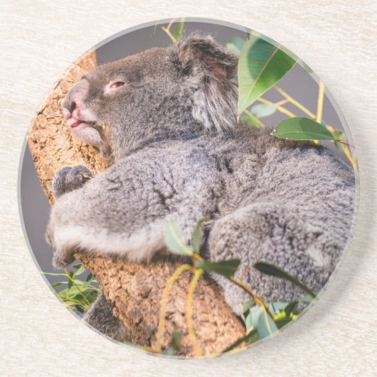 Dessous De Verre En Grès Petit koala doux (Devant)