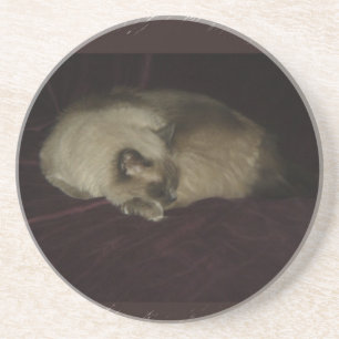 Dessous De Verre En Grès Petit somme de chat
