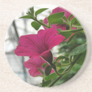 Dessous De Verre En Grès Petunia