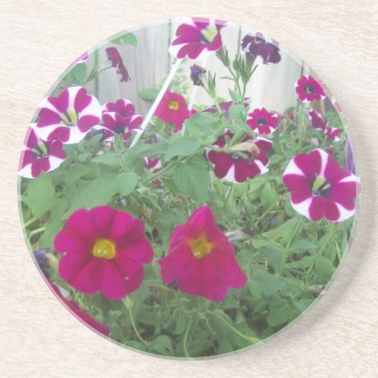 Dessous De Verre En Grès Pétunias rose (Devant)