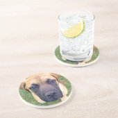 Dessous De Verre En Grès Photo anglaise mignonne de plan rapproché de chiot (Côté)