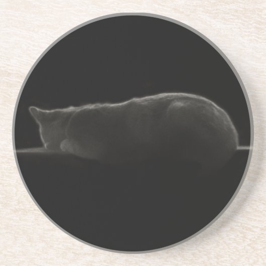 Dessous De Verre En Grès Photo de chat couché (Devant)