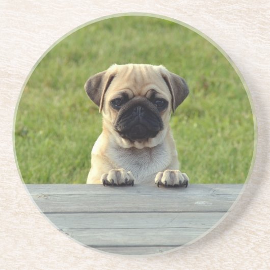 Dessous De Verre En Grès Photo de chiot Carlin mignon (Devant)