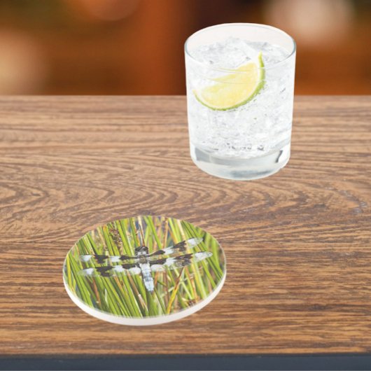 Dessous De Verre En Grès Photo de libellule d'écrémage blanc commun