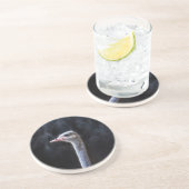 Dessous De Verre En Grès Photographie d'autruche (Côté)