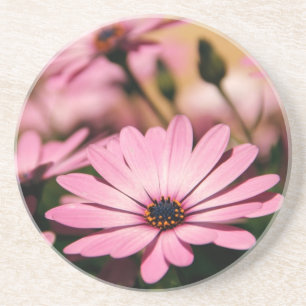 Dessous De Verre En Grès Photographie de Marguerite Africaine Violette
