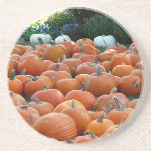 Dessous De Verre En Grès Photographie de récolte d'automne des citrouilles 