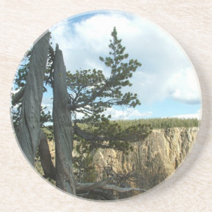 Dessous De Verre En Grès Photographie du parc national de Yellowstone.