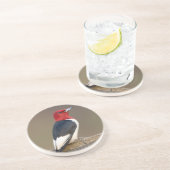 Dessous De Verre En Grès Pic à tête rouge sur clôture (Côté)
