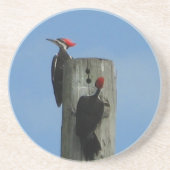 Dessous De Verre En Grès Pic sur un pôle (Devant)