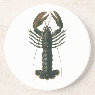 Dessous De Verre En Grès Pinces de homard Marin vintage Vie marine crustacé