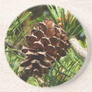 Dessous De Verre En Grès Pinecone pendant le sun.