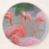 Dessous De Verre En Grès Pink Florida Flamants roses Aquarelle (Devant)