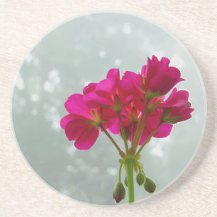 Dessous De Verre En Grès Pink Geranium Photography Sandstone Coaster